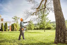 Reliable Greenfield, WI Tree Removal Services Solutions